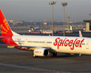 SpiceJet introduces flights between Belagavi and Mangaluru via Bengaluru